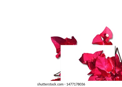 illustration design using red and pink flower elements, with a plain abstract background, simple and modern