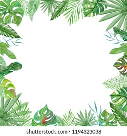 Vector Illustration Green Plants Exotic Leaves Stock Vector (Royalty ...