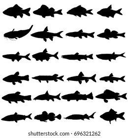 Fishes Silhouettes Fish Different Shapes Isolated Stock Vector (Royalty ...