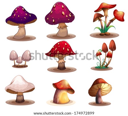 Image, Stock Photo a small toadstool grows in the grass on the forest floor