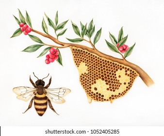 Bee Hive Sketch High Res Stock Images Shutterstock