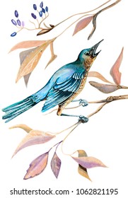 Illustration drawn by markers and liner. Exotic blue bird sitting on the branch of a Bush. Branches and fruits. Isolated picture on white background
