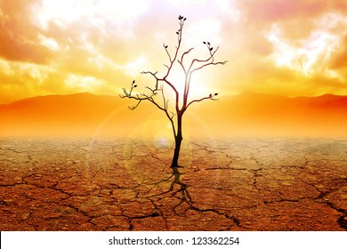 Illustration of a dried tree on dry land
