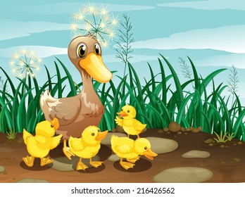 Illustration duck   her ducklings near the grassland