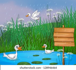 Illustration ducks playing in the rain