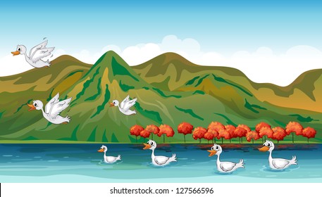 Illustration ducks searching for foods in the sea