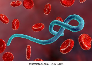 Illustration Of Ebola Virus In Blood 