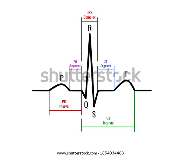 Illustration Ecg Interpretation Ecg Healthy Person Stock Illustration ...