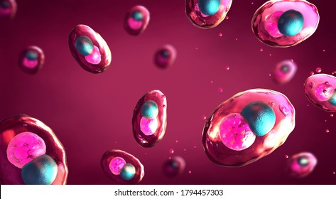 Illustration Elementary Bodies Chlamydia Bacteria Infect Stock ...