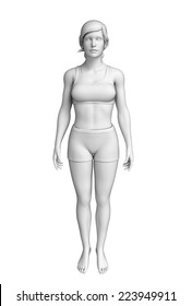 Illustration Of Female Body Artwork