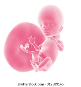 Baby For Rose Unborn Hd Stock Images Shutterstock