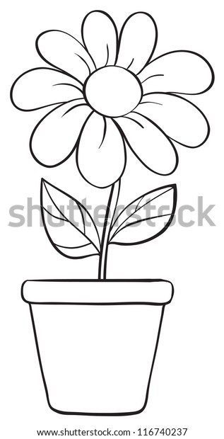 Illustration Flower Pot Sketch On White Stock Illustration 116740237