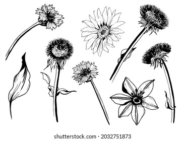 Illustration Flowers, eyes, fairy, woman, tattoo, playful, charm, mystic. - Powered by Shutterstock