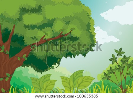 Similar – Image, Stock Photo leaf canopy Environment