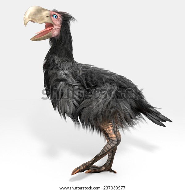 Download Illustration Gastornis Terror Birds Extinct Genus Stock ...