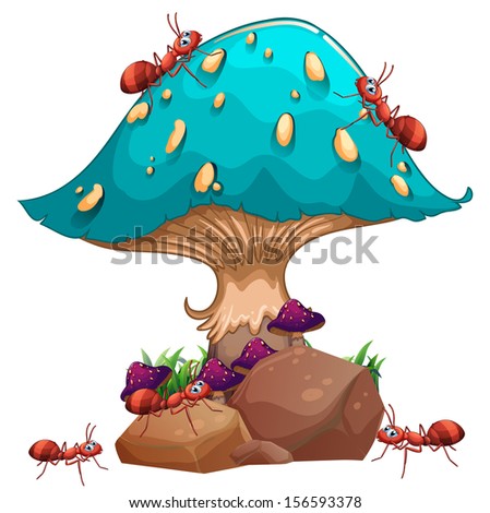 Similar – Image, Stock Photo stone mushroom Mushroom