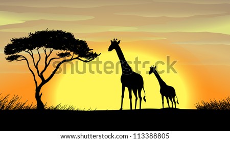 Similar – Image, Stock Photo Giraffe Silhouette