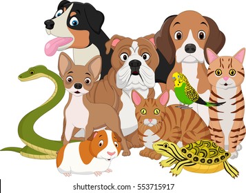 Illustration group of pets cartoon