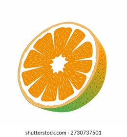 illustration of half an orange
