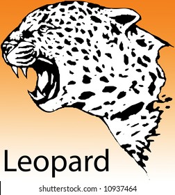 Illustration of the head of  a leopard