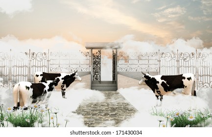 illustration of the heaven gate