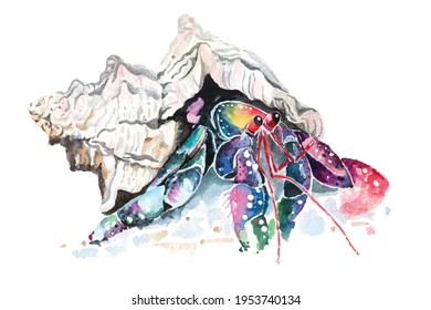 Illustration hermit crab living in the shell and watercolor isolated white background In the form fantasy Amphibian reptiles painted and brushes Hand drawn marine animal pictures 