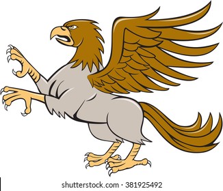 Illustration of a hippogriff or hippogryph, legendary creature with front quarters of an eagle and the hind quarters of a horse prancing showing talons on isolated white background  in cartoon style. 