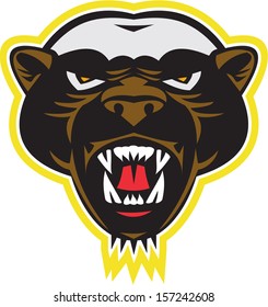Illustration of a honey badger (Mellivora capensis) mascot also known as ratel head facing front on isolated white background.