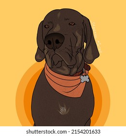 Illustration Of Hound Dog, Wearing Orange Bandanna.