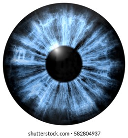 Illustration Human Blue Eye Light Reflection Stock Illustration ...