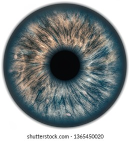 Illustration Human Iris Digital Artwork Creative Stock Illustration ...