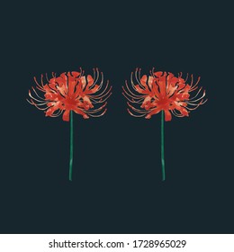 Hurricane Lily Images Stock Photos Vectors Shutterstock