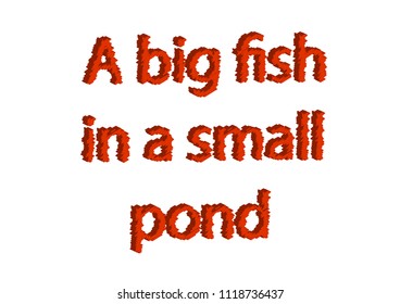 Illustration, Idiom Write A Big Fish In A Small Pond Isolated In A White Background Composition