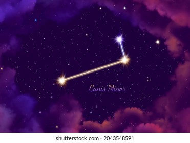 Illustration Image Of The Constellation Canis Minor