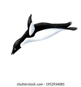 ペンギン イラスト 泳ぐ Images Stock Photos Vectors Shutterstock