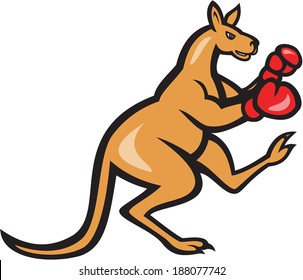 Illustration of a kangaroo kick boxer boxing with boxing gloves viewed from side on isolated background done in cartoon style.