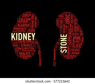 Illustration Of Kidney Shape Wordcloud Word Tags Presenting Kidney Stone Diseases