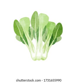 小松菜 料理 のイラスト素材 画像 ベクター画像 Shutterstock