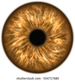 Illustration Of A Light Brown Human Iris. Digital Artwork Creative Graphic Design.