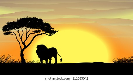 Download Lion King Tree Images Stock Photos Vectors Shutterstock