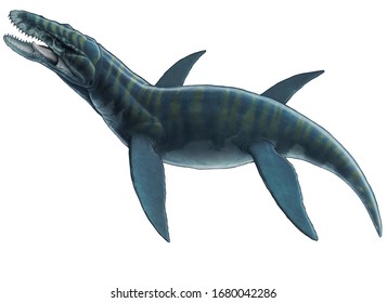 Illustration Liopleurodon Dinosaur On White Background Stock ...