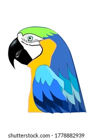 Cartoon Vector Blue Parrot Bird Stock Vector (Royalty Free) 419010550