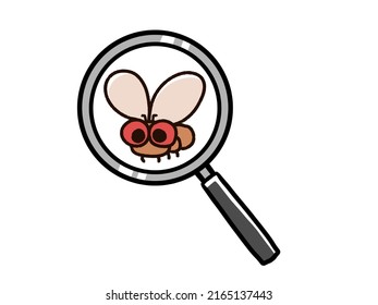 Illustration of magnifying glass and Drosophila.