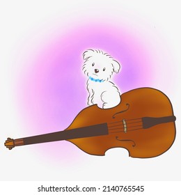 Illustration Of Maltese Puppy Looking Over Us On A Large Contrabass