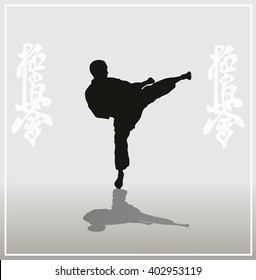 Woman Kick Fighting Technique Pose Silhouette Stock Vector (Royalty ...