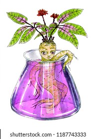 illustration with Mandrake sitting in a flask with a magic solution