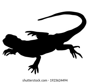 Illustration Material Of Cute Lizard Silhouette