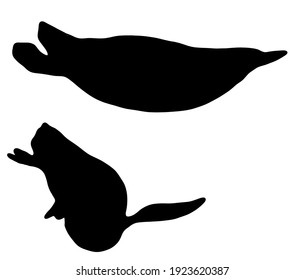 ペンギン イラスト 泳ぐ Images Stock Photos Vectors Shutterstock