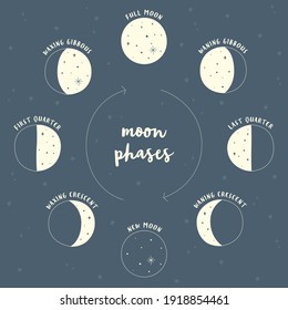 Illustration moon phases in dark blue and yellow with description
