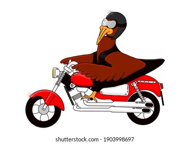 146 Rooster on bike Stock Illustrations, Images & Vectors | Shutterstock